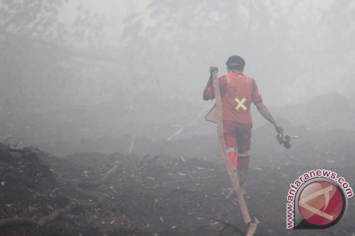 Ratusan hektare lahan gambut Sumsel akan direstorasi