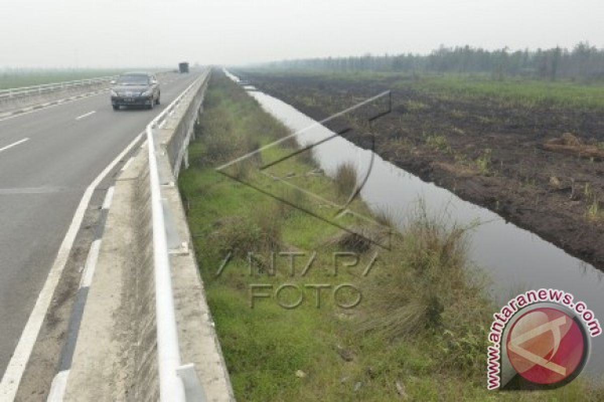 BRG Target Restorasi 2 Juta Ha Gambut, Pulpis Masuk Prioritas