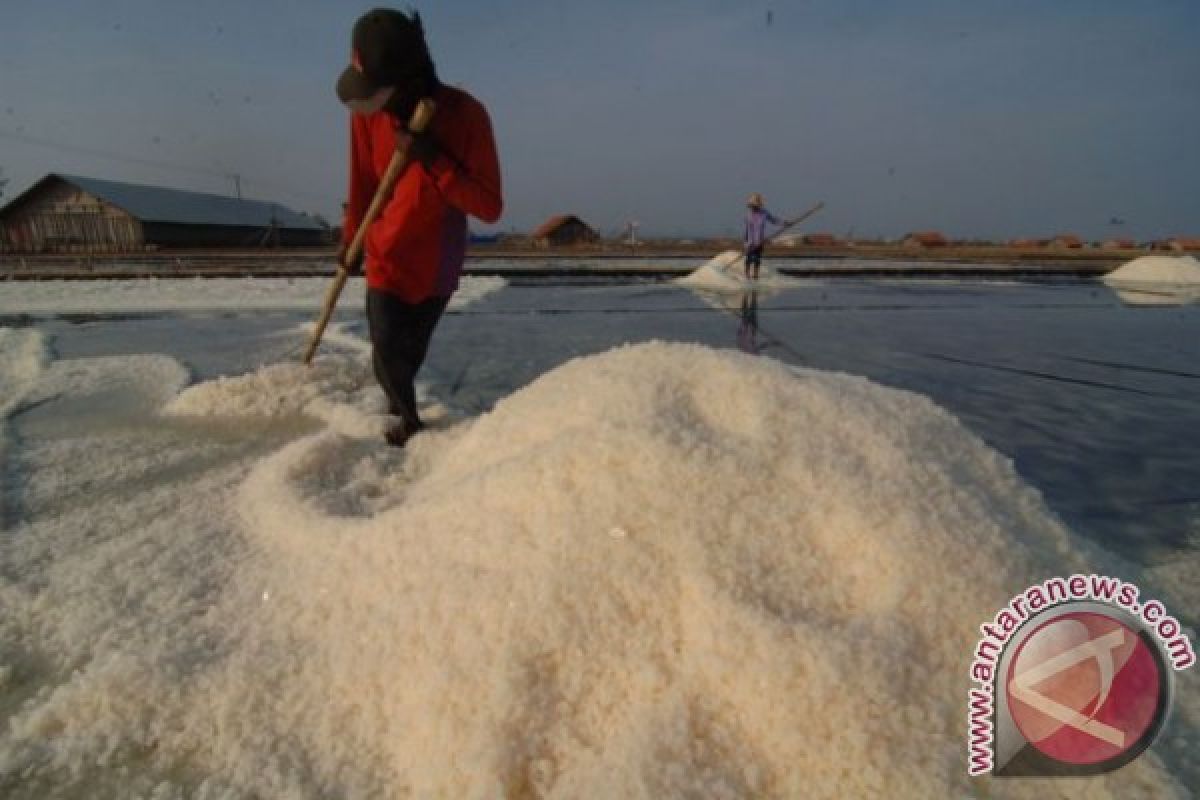 Harga Garam Beryodium di Bangkalan RP7.300 Per Kilogram