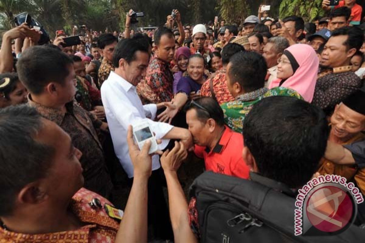 Jokowi sebut lahan gambut sengaja dibakar