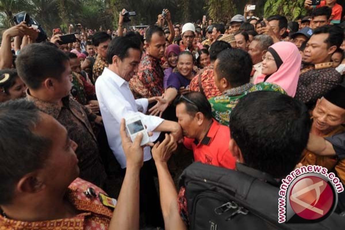 Jokowi Sebut Lahan Gambut Sengaja Dibakar