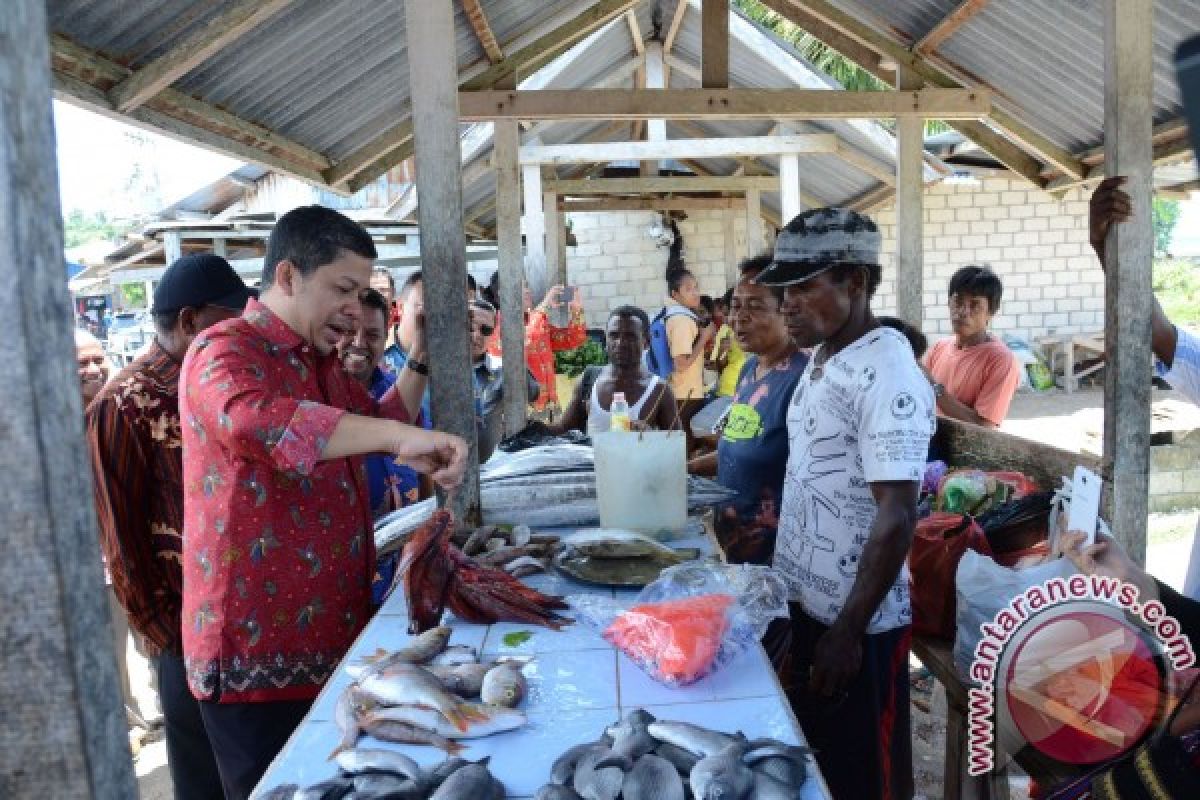 Fahri: Pulau Sumbawa ideal untuk pariwisata dan pertambangan