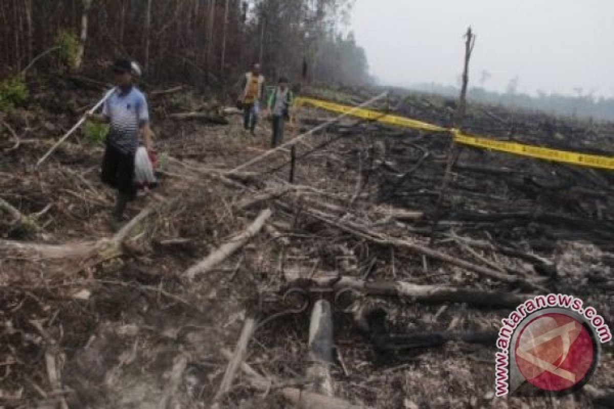 Kodim Sampit Kerahkan Anggota Deteksi Kebakaran Lahan 