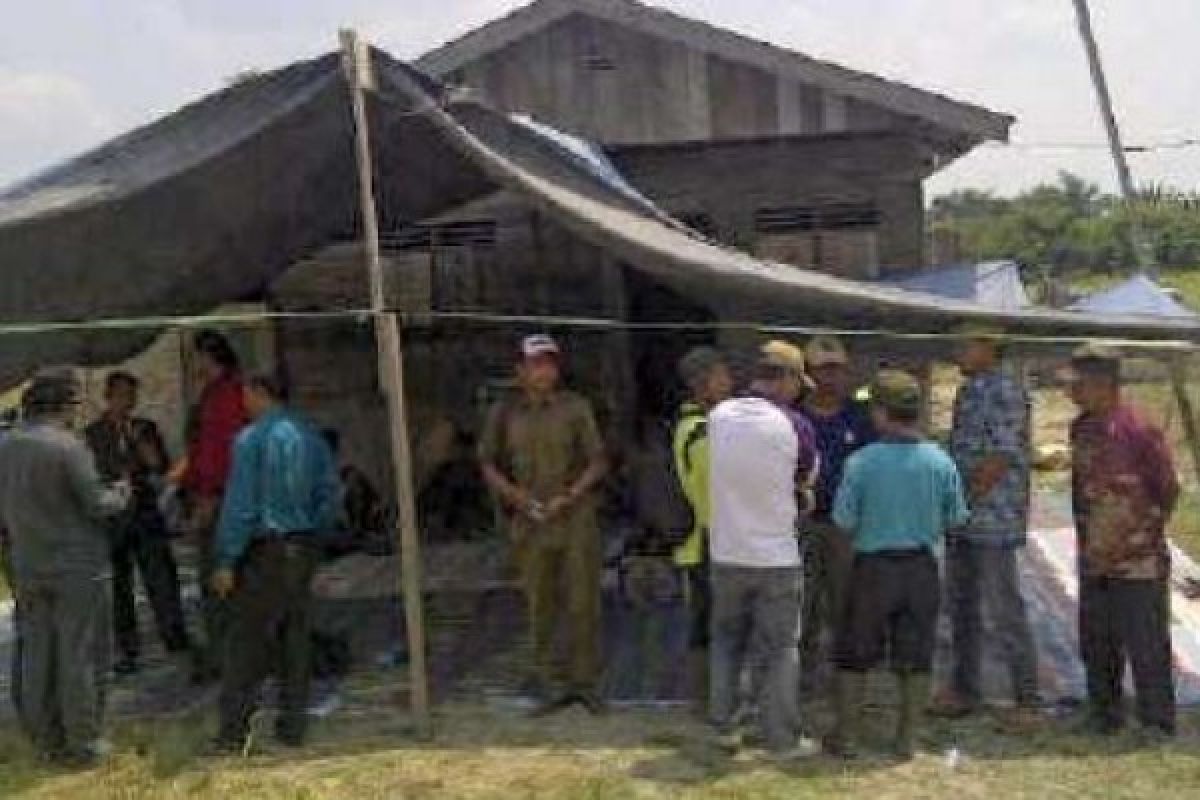 Distanak Rohil Bantah Bibit Kedelai Oplosan