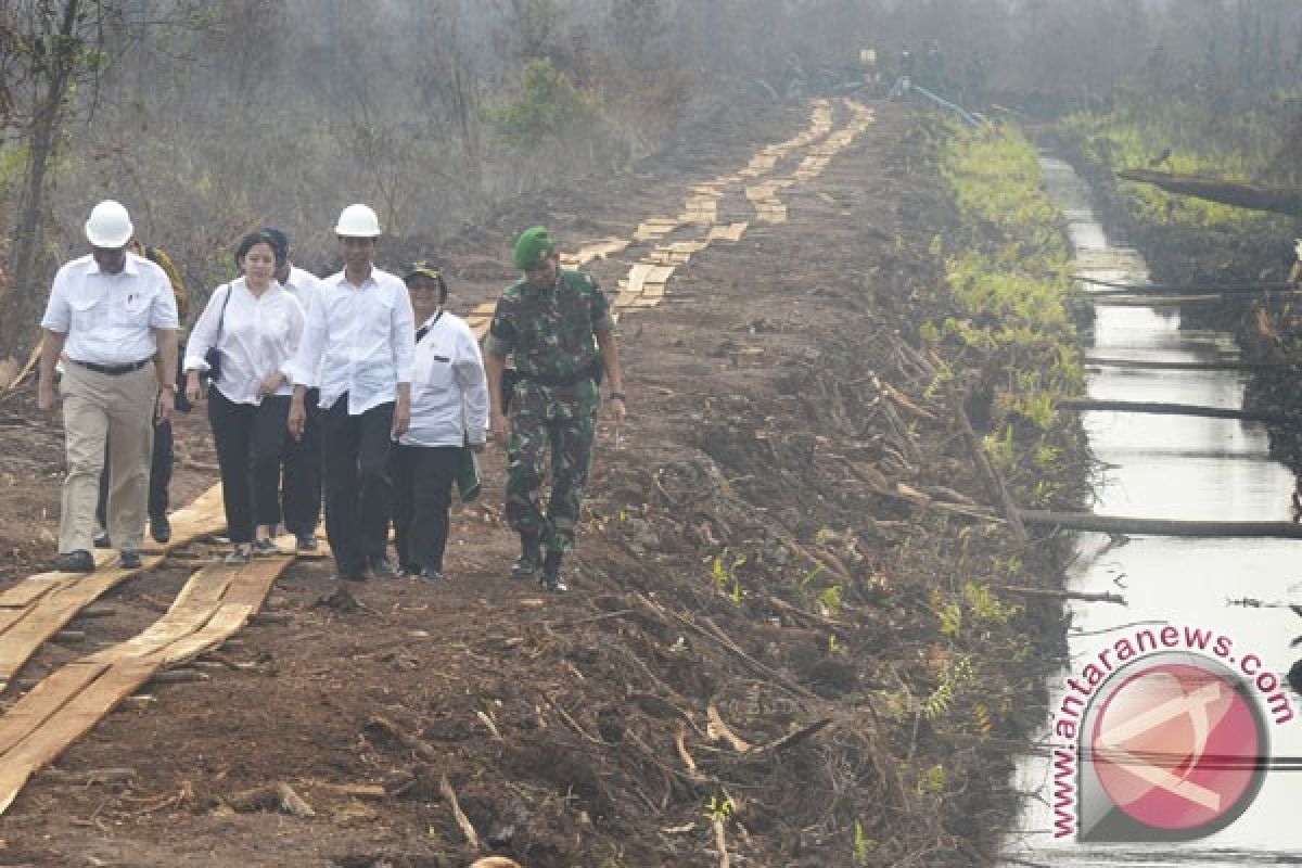 Kabut asap selimuti Palangka Raya pada pagi dan sore