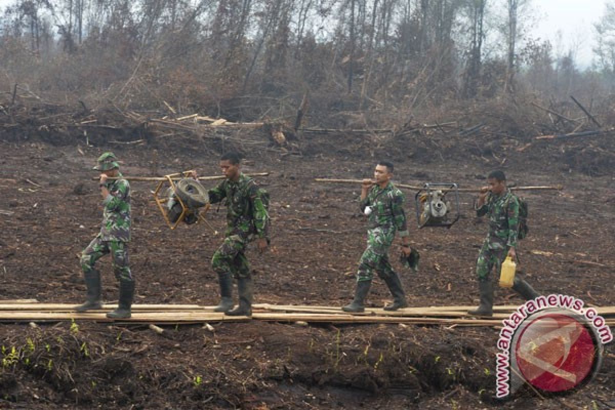 BRG perbanyak pembasahan lahan gambut