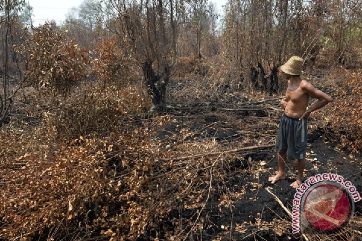 Pengelolaan seluruh lahan gambut terbakar kembali ke negara