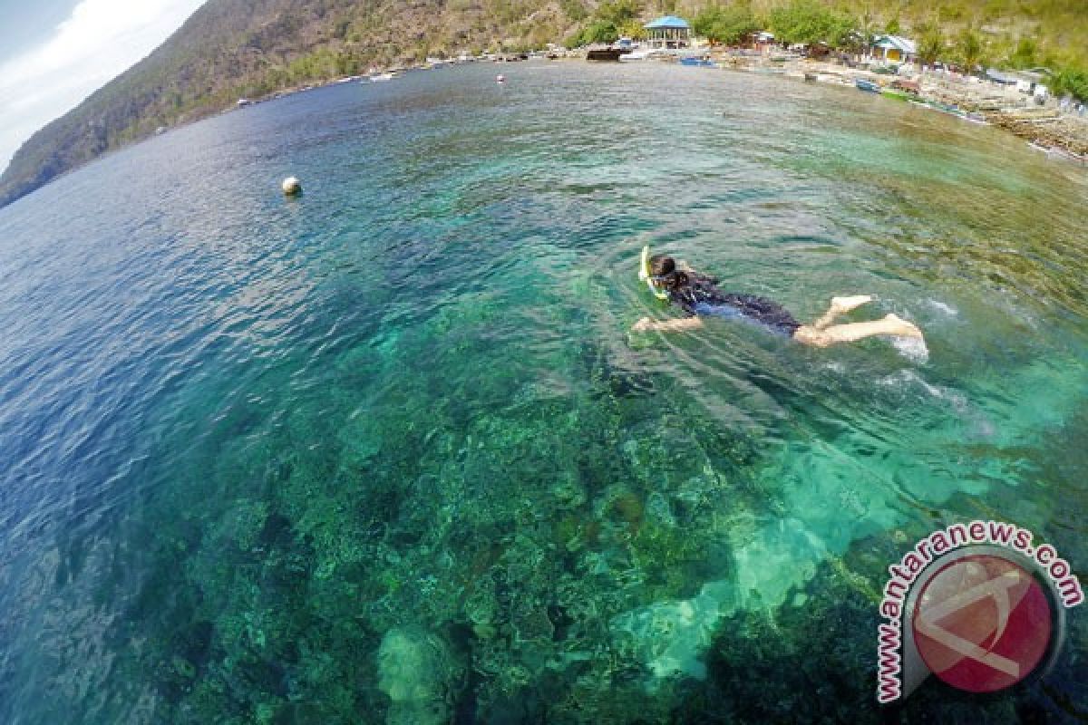 Wisata bahari Pulau Tikus Bengkulu makin diminati