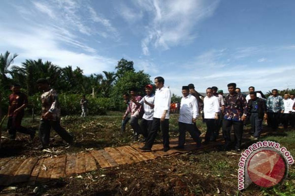 Masyarakat Sorong Diminta Lindungi Hutan Sagu