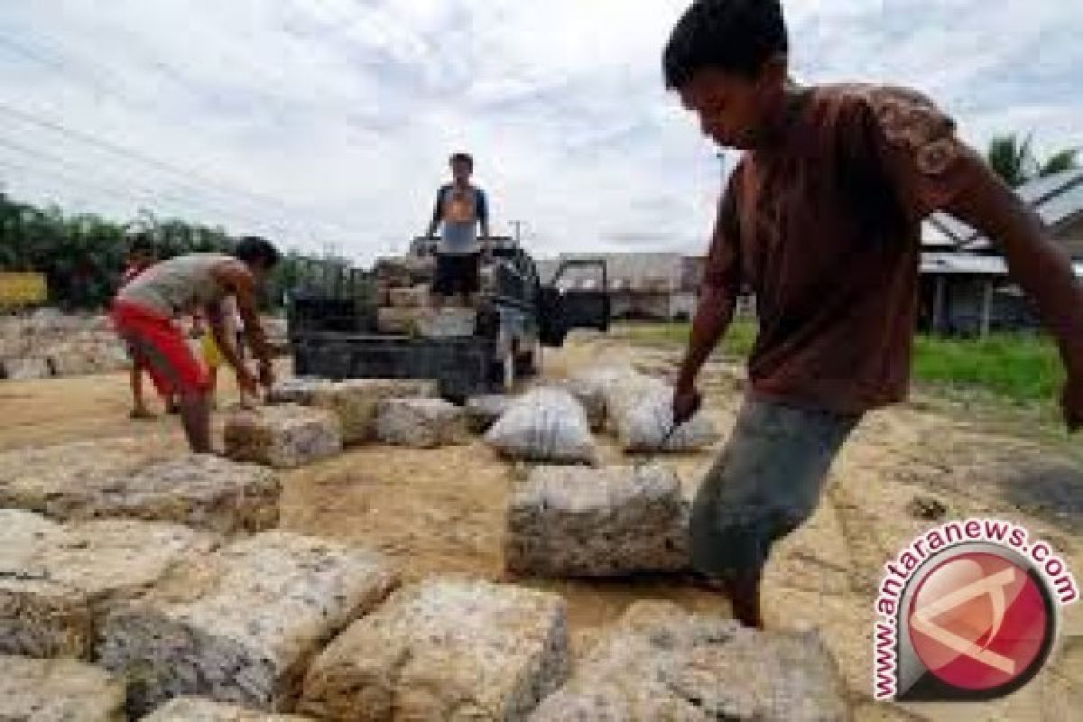 Harga sawit dan karet di Batanghari masih anjlok