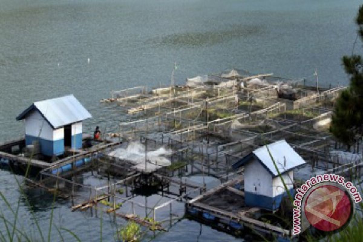 Pemprov Jambi  bantu petani ikan gagal panen