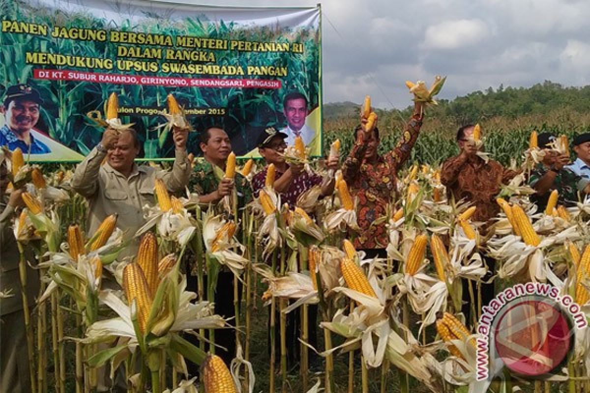 Kulon Progo berupaya meningkatkan produk pertanian 