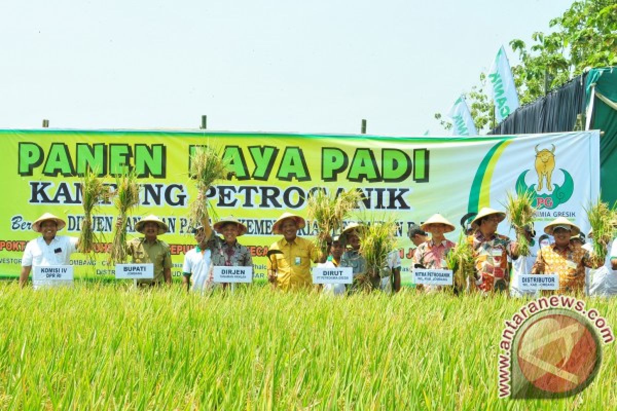 Panen Raya Kampung Petroganik Petrokimia Gresik Meningkat