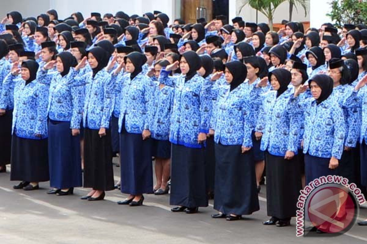 Akhirnya! 162 Pendaftar Orang Lulus Jadi Pegawai Kontrak Pemkab Seruyan 