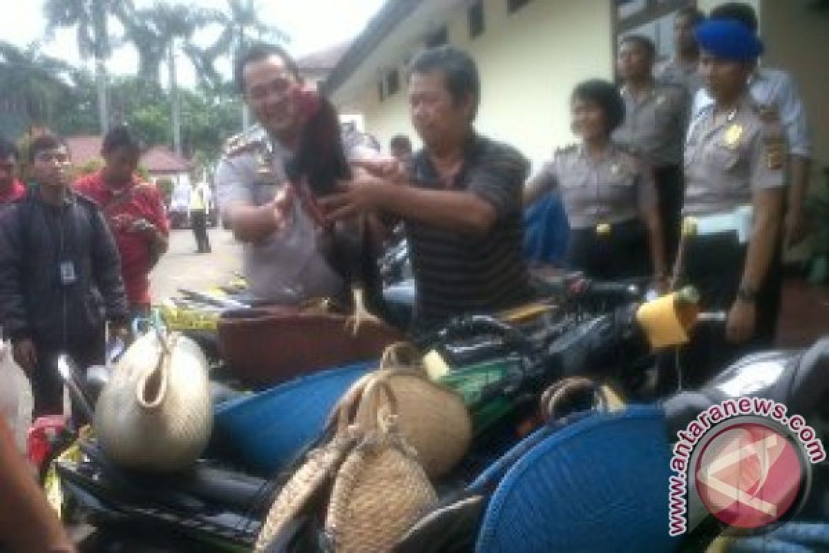 Polres Bangkalan Gerebek Judi Sabung Lokasi Ayam