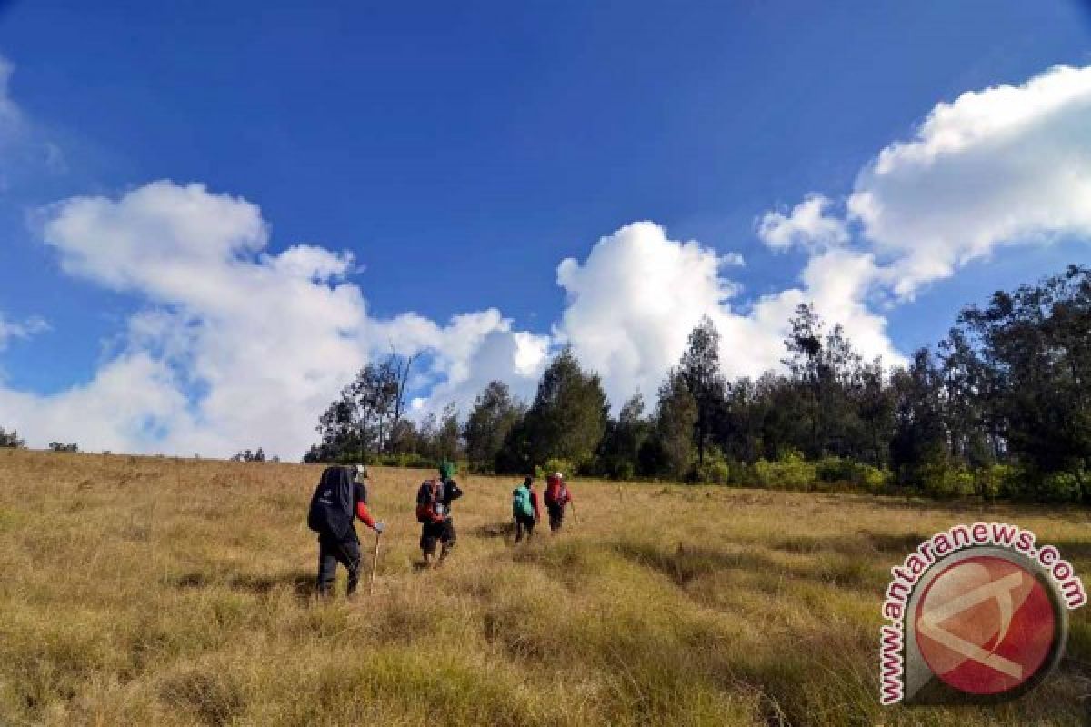 Jalur Pendakian Argopuro Masih Ditutup Akibat 