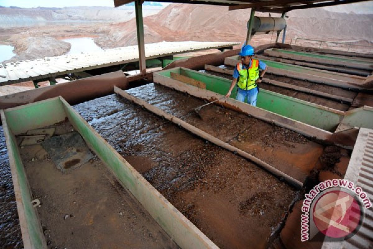 Pendapatan usaha PT Timah Tbk naik 19,88 persen