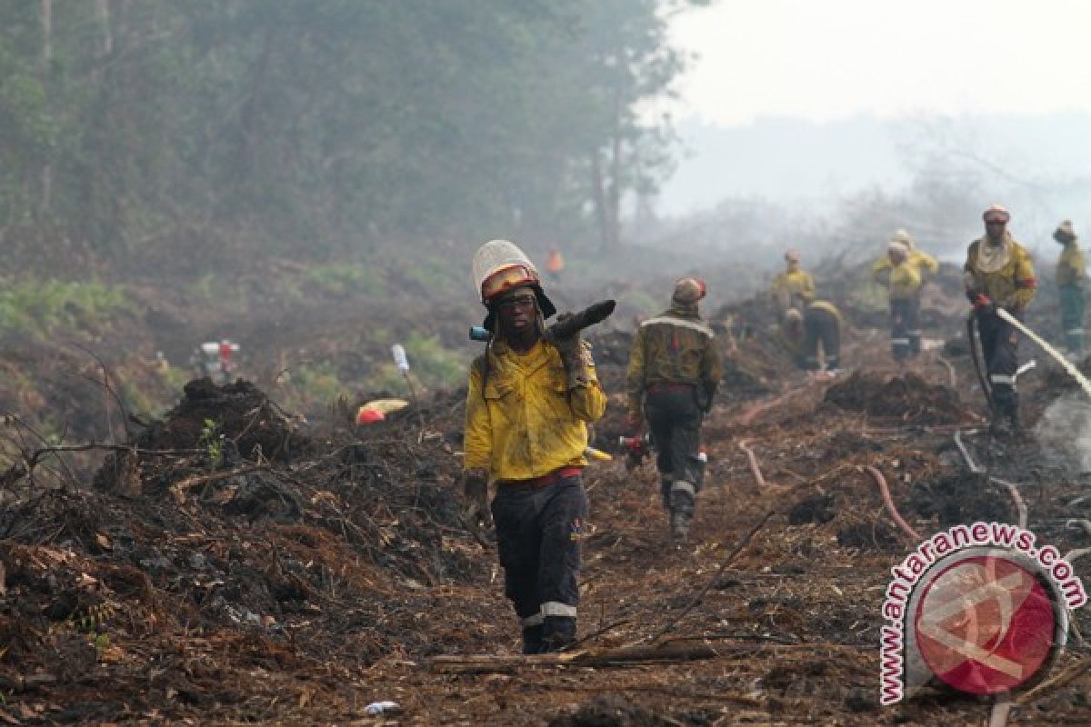 Tenaga ahli Afrika Selatan diterjunkan padamkan kebakaran hutan