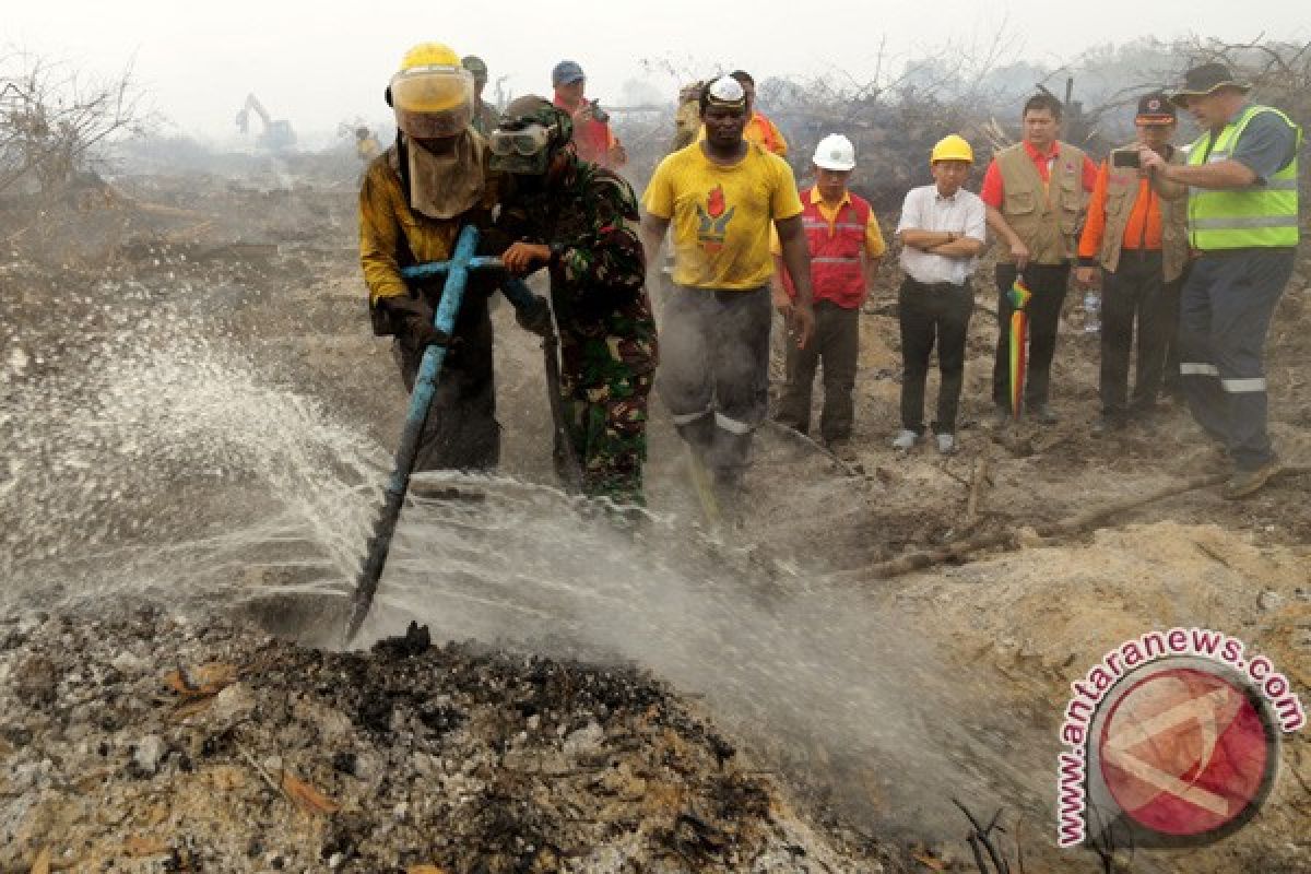 BPBD Sumsel intensif pantau daerah rawan Karhutla