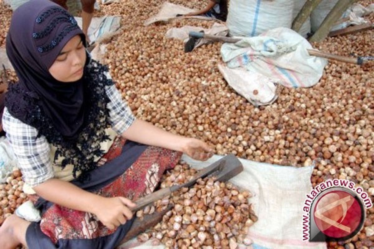 Harga biji pinang turun di Abdya