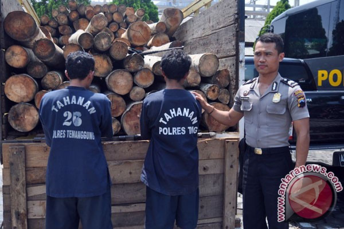 Polisi Narmada amankan puluhan balok kayu
