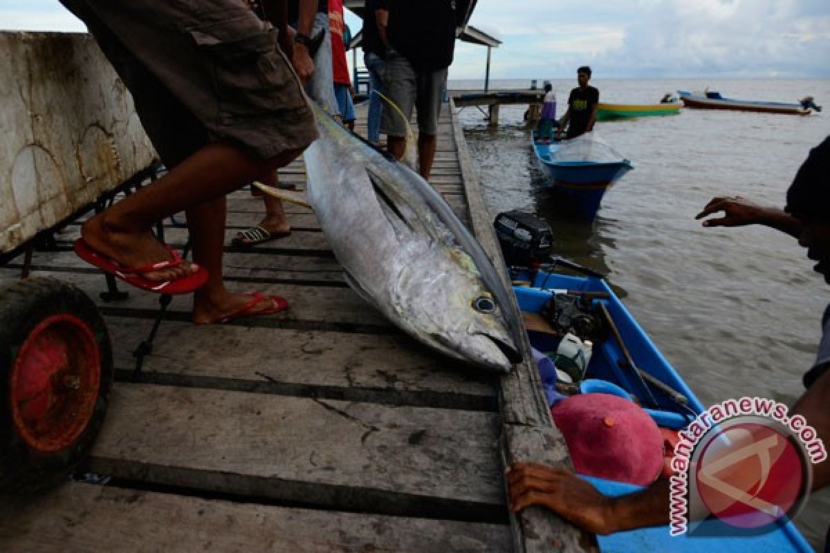 Hasil tangkapan nelayan Sukabumi anjlok
