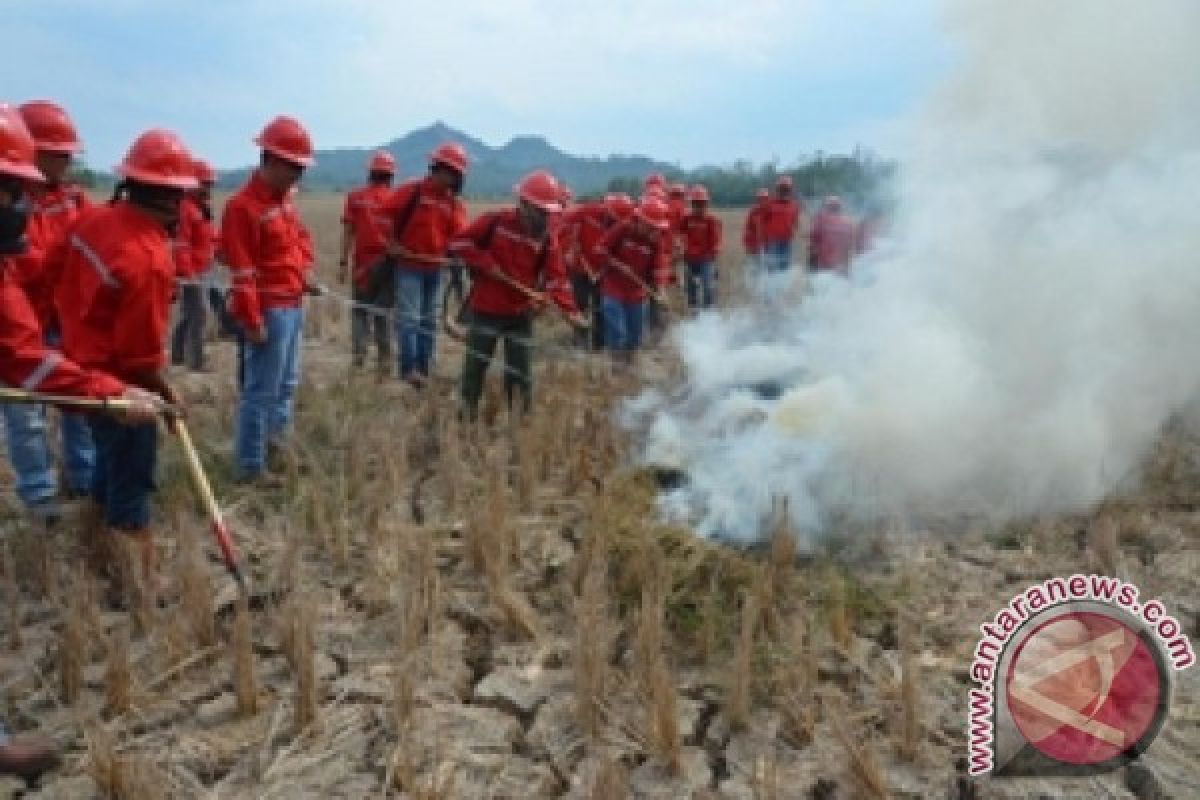 Disbun Kaltim bangun kemitraan petani peduli api