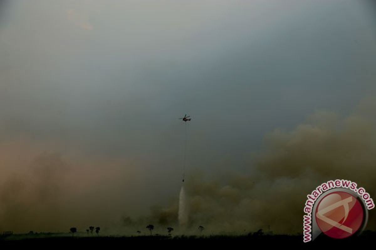 KLHK gugat Rp7,8 triliun terhadap PT Bumi Mekar Hijau