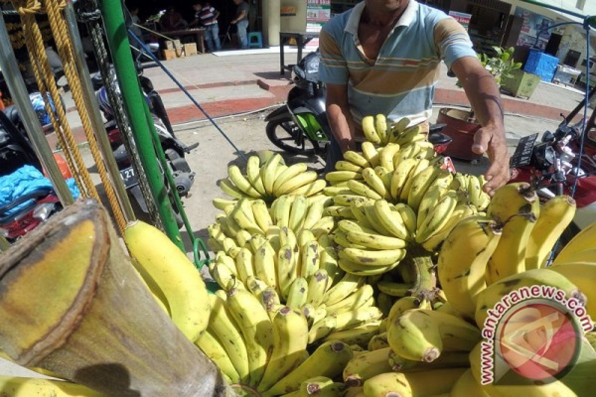 Stok Kosong Harga Pisang Di Gorontalo Naik