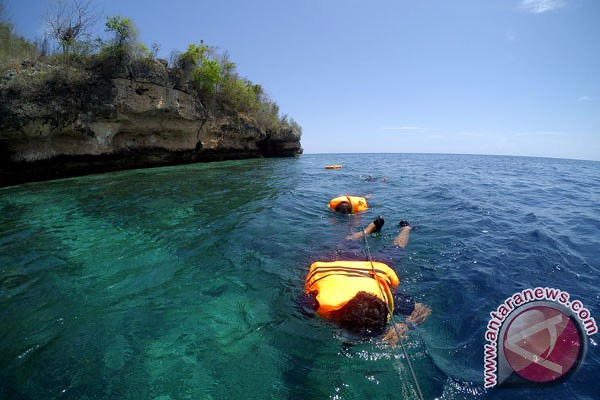 Snorkeling aktivitas favorit wisatawan di Pulau Tikus