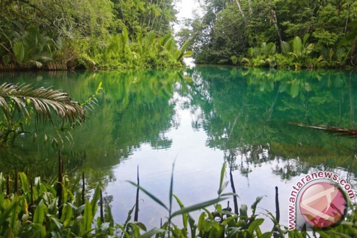 LIPI ekspos keanekaragaman hayati Pulau Enggano