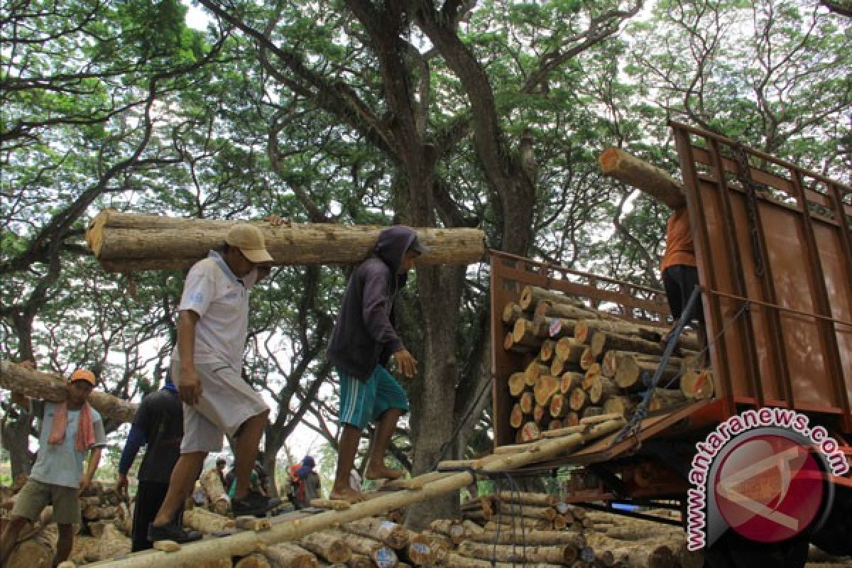 Indonesia raih sertifikasi kayu hutan legal Eropa