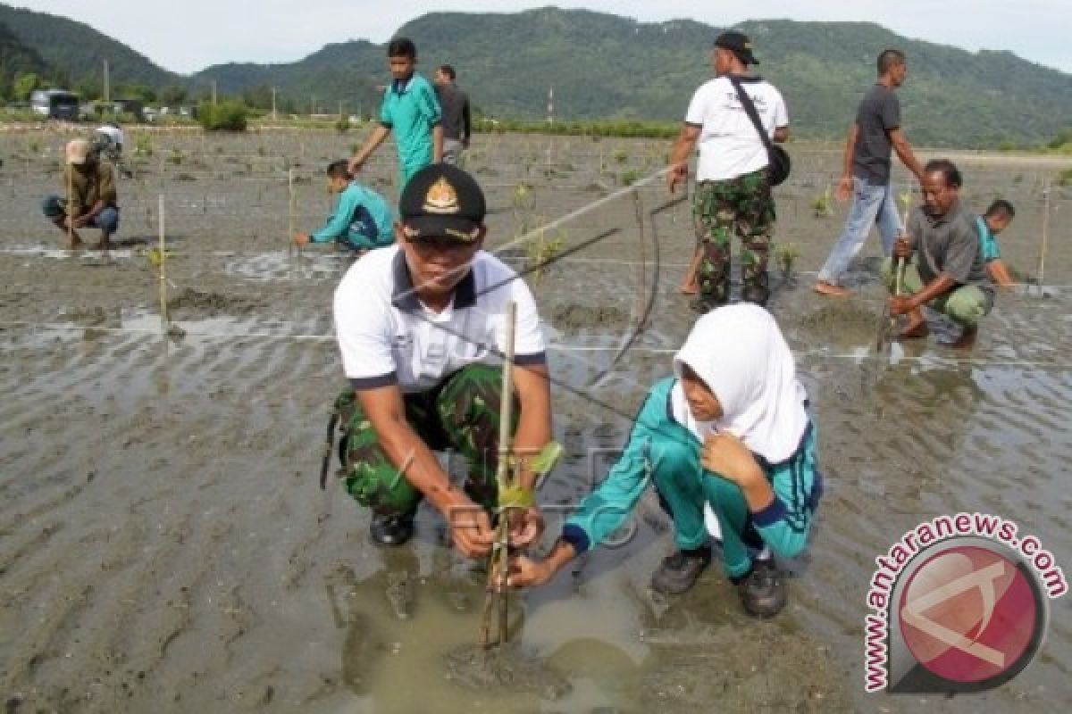 Lanal Lhokseumawe Tanam Dua Ribu Manggrove