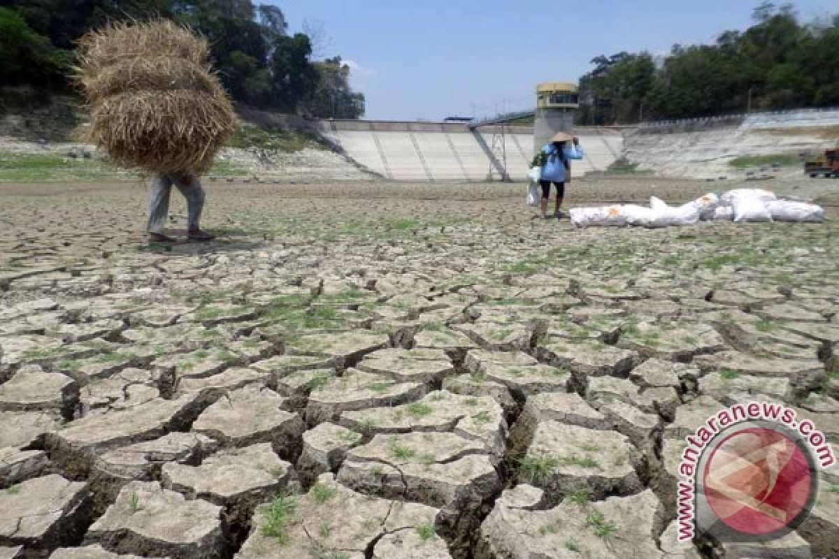 UPT: Perolehan Air Waduk Pacal Bojonegoro Minim