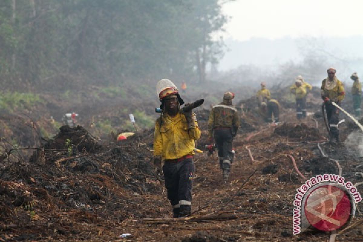 BNPB Perkirakan Potensi Karhutla Terus Meningkat