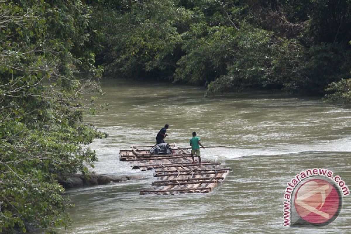 Masih ada penebangan liar di Kalimantan Tengah