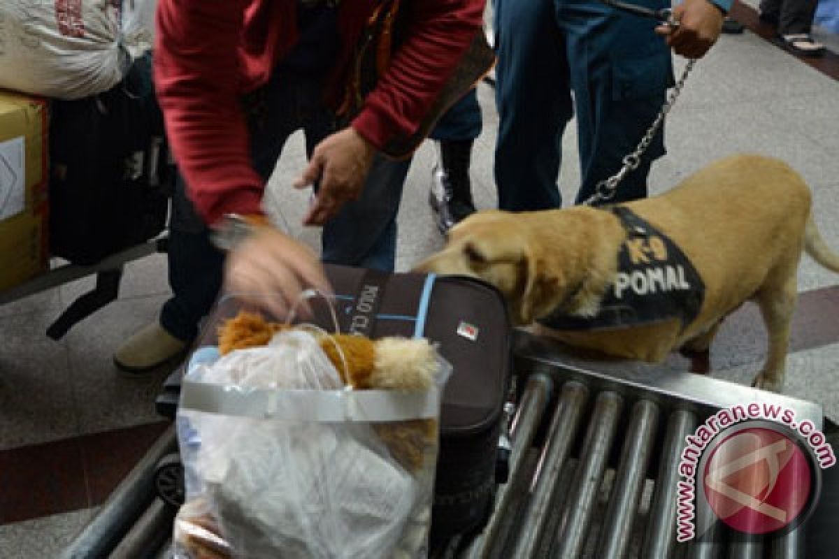 Presiden Jokowi minta anjing untuk pasukan K-9 diperbanyak