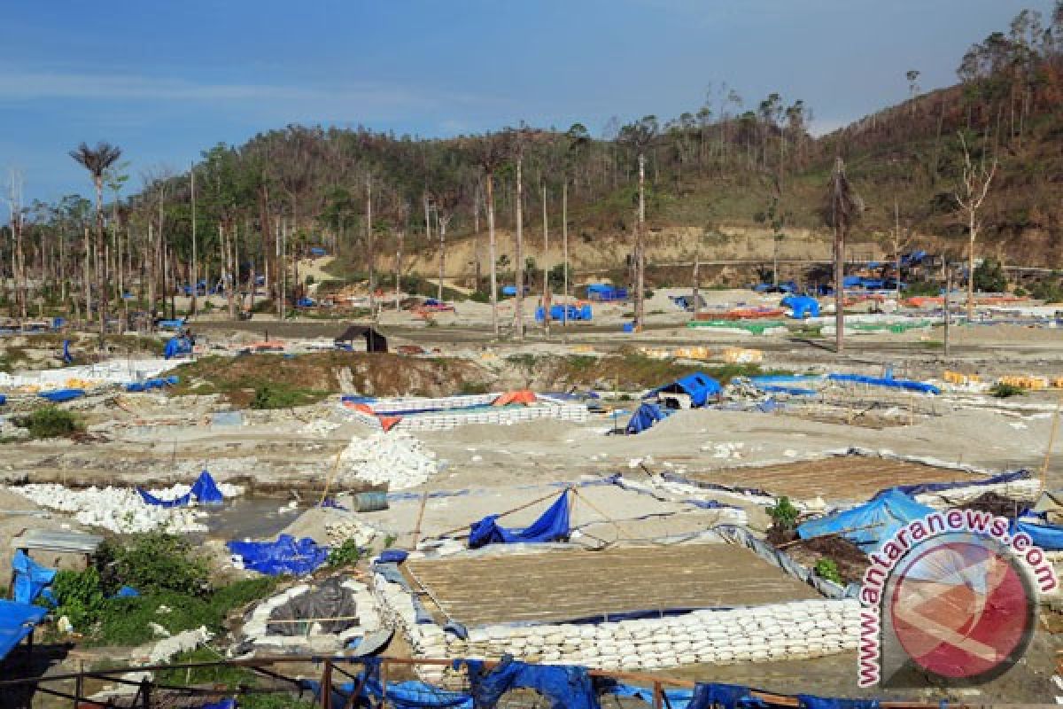 Pakar: masyarakat Pulau Buru jangan konsumsi kepala ikan beracun