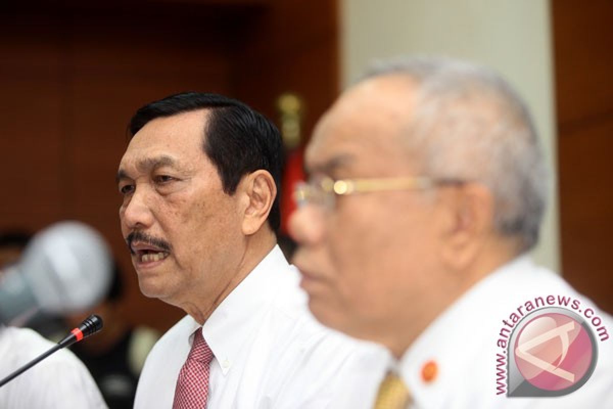 Luhut akui banyak yang ingin perpanjang kontrak Freeport