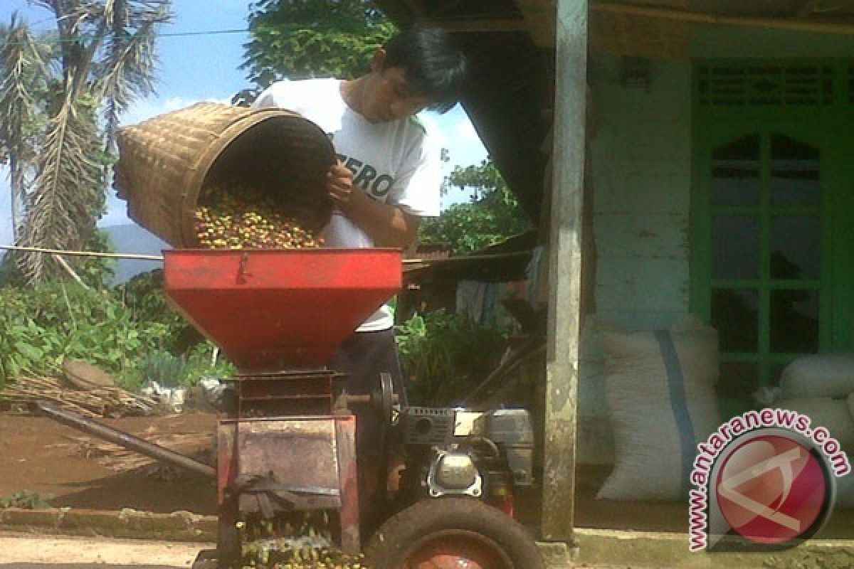 Ekspor kopi Lampung naik