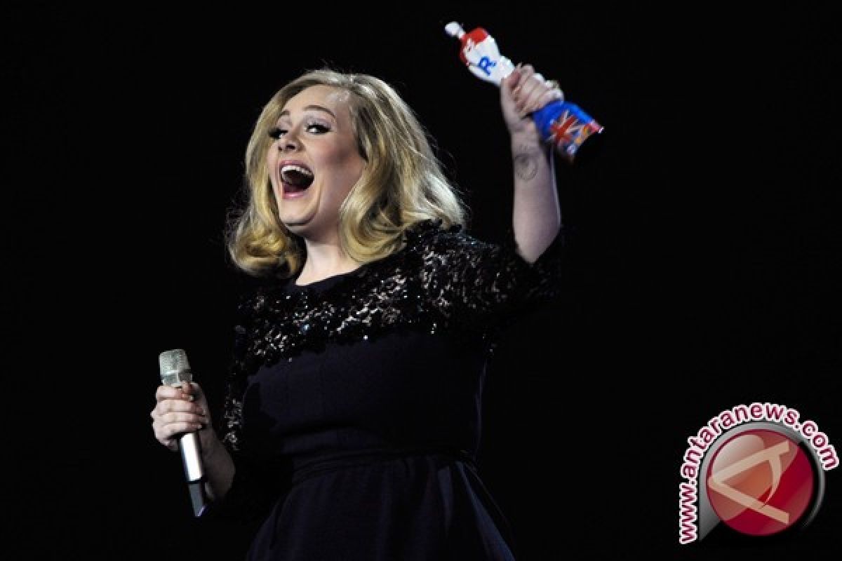  Adele akan tur konser 2016