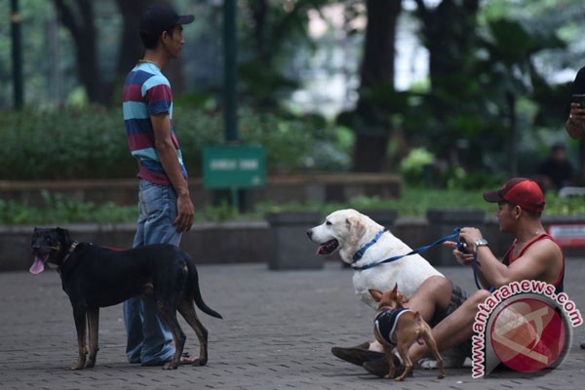 Ahok tak terima Taman Suropati rusak disiram minyak