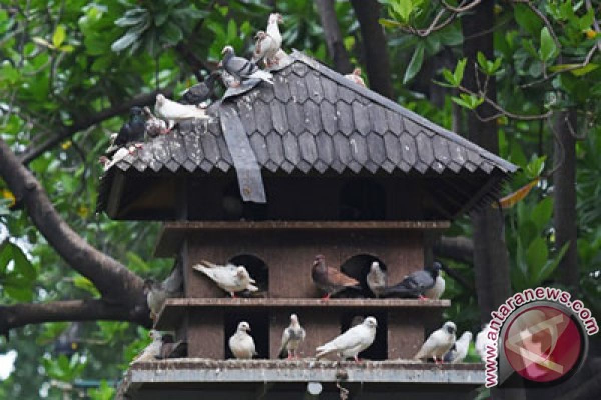 Kota Jambi gandeng Ragunan