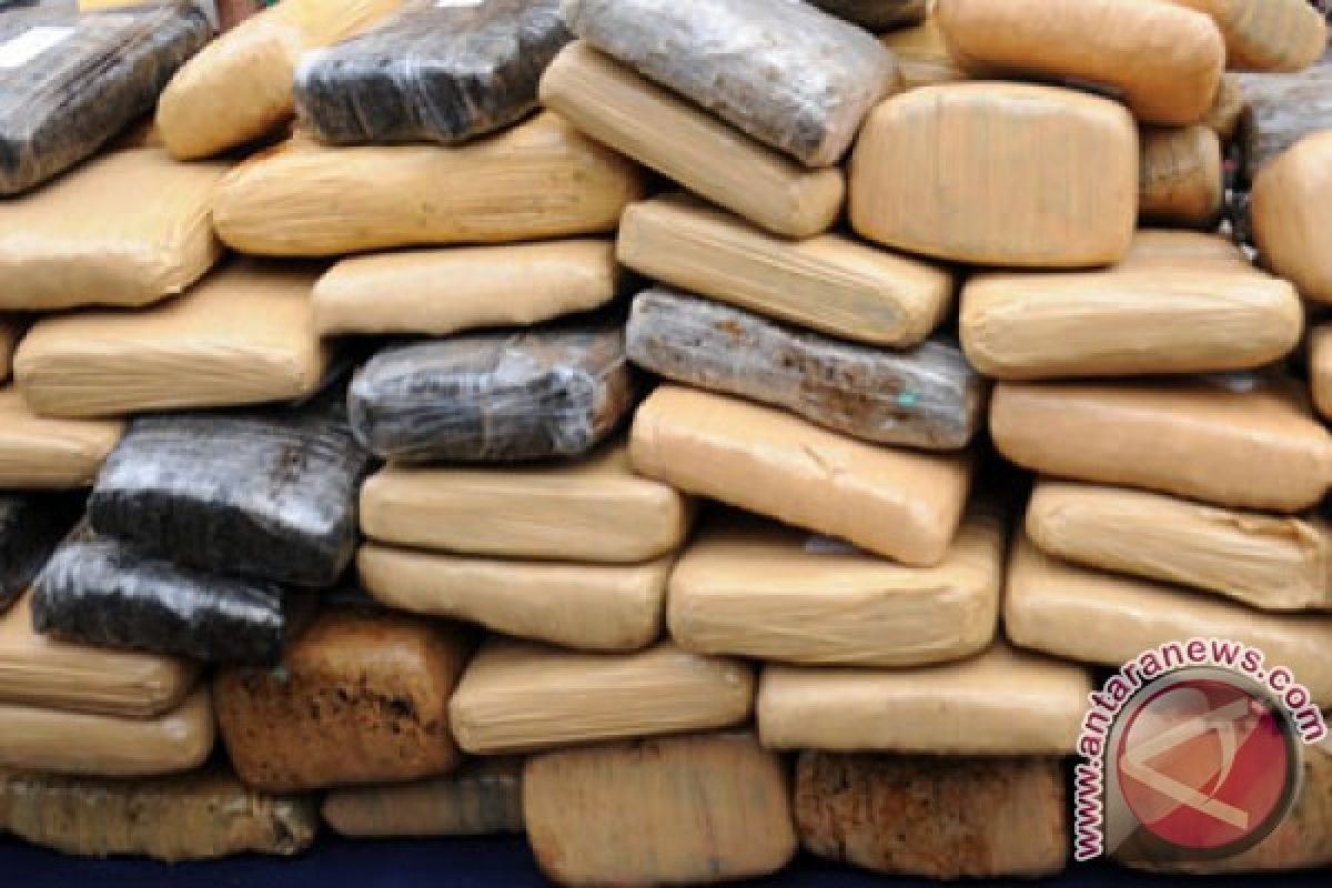 Narcotics agency seizes 10.64 kilograms of hashish in Batam