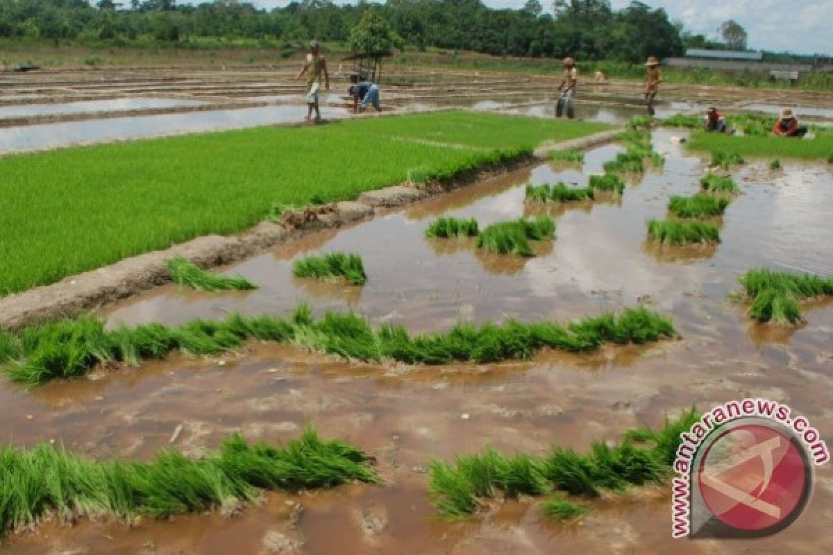 Majukan Pertanian Seruyan, HKTI Seruyan Siap Bantu Pemerintah