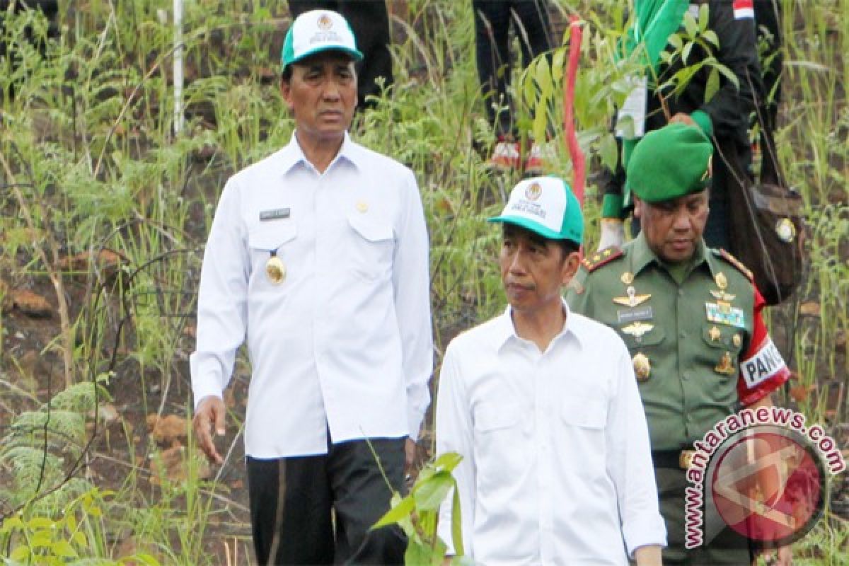 President Jokowi plants gaharu tree on Tree Plantation Day