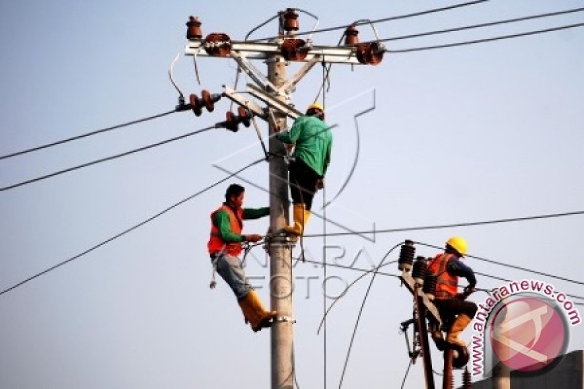  Anggota KEIN: Indonesia berpotensi krisis listrik 1.000 MW
