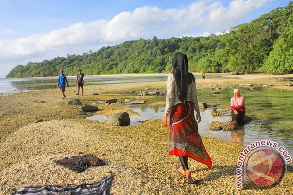 Hentikan penambangan terumbu karang Pulau Enggano