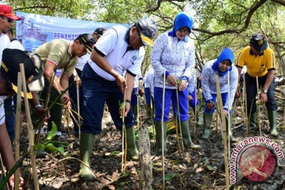 Pangarmatim Pimpin Tanam 5.000 Pohon Mangrove