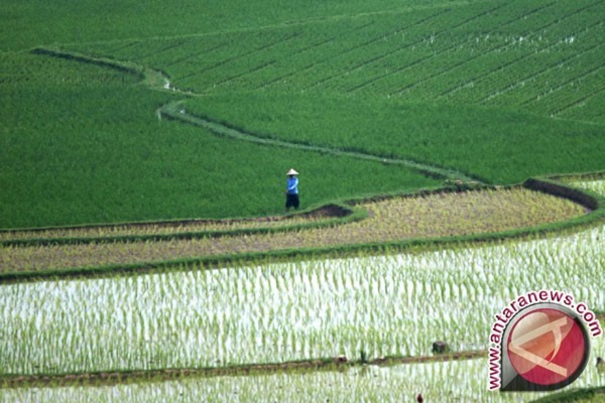 Kurangi Kemiskinan Lewat Perubahan Pertanian